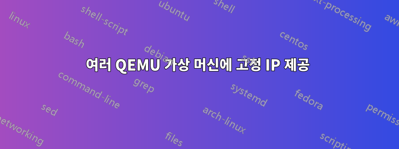 여러 QEMU 가상 머신에 고정 IP 제공