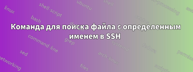 Команда для поиска файла с определенным именем в SSH 