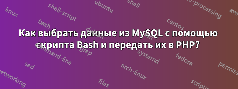 Как выбрать данные из MySQL с помощью скрипта Bash и передать их в PHP?