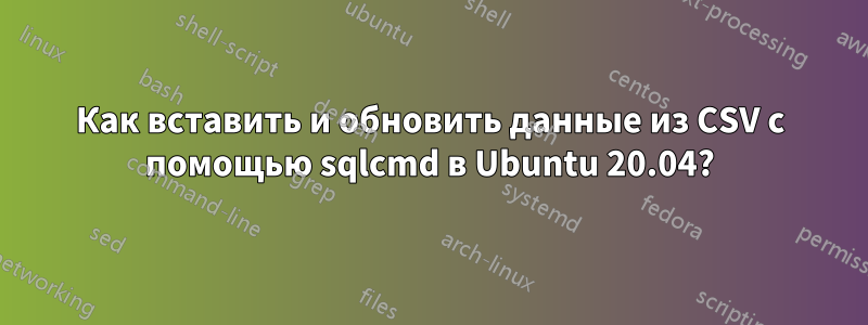 Как вставить и обновить данные из CSV с помощью sqlcmd в Ubuntu 20.04?
