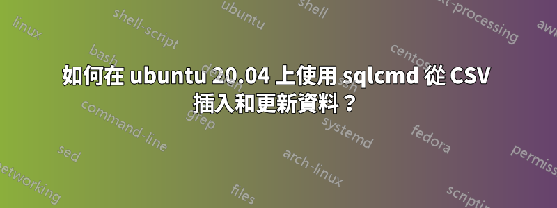 如何在 ubuntu 20.04 上使用 sqlcmd 從 CSV 插入和更新資料？