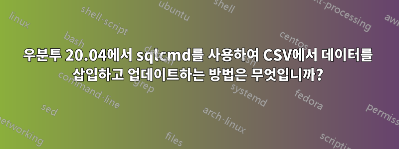 우분투 20.04에서 sqlcmd를 사용하여 CSV에서 데이터를 삽입하고 업데이트하는 방법은 무엇입니까?
