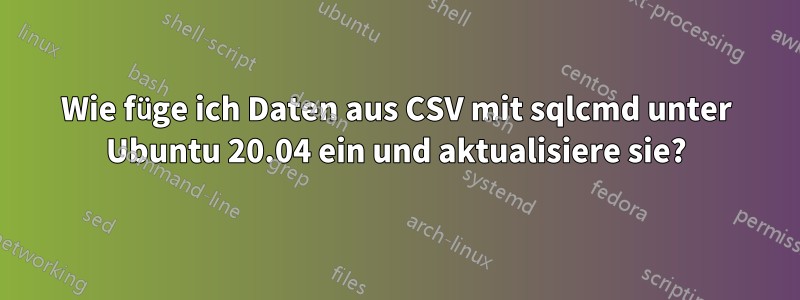 Wie füge ich Daten aus CSV mit sqlcmd unter Ubuntu 20.04 ein und aktualisiere sie?