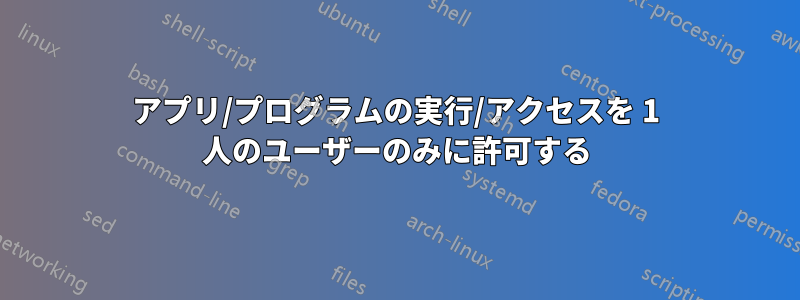 アプリ/プログラムの実行/アクセスを 1 人のユーザーのみに許可する