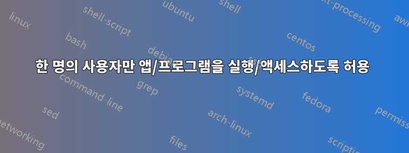 한 명의 사용자만 앱/프로그램을 실행/액세스하도록 허용