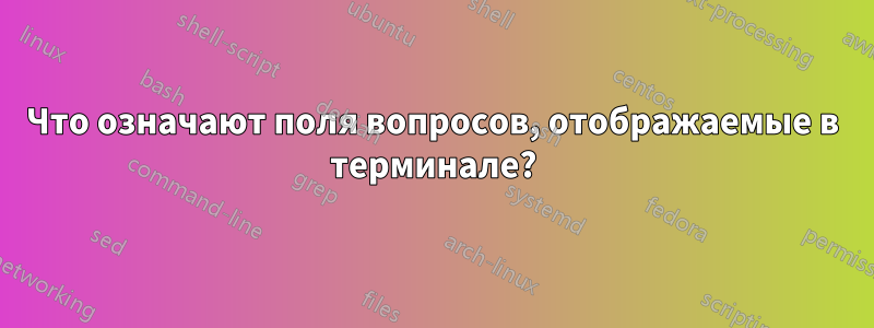 Что означают поля вопросов, отображаемые в терминале?