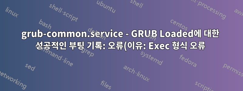 grub-common.service - GRUB Loaded에 대한 성공적인 부팅 기록: 오류(이유: Exec 형식 오류)