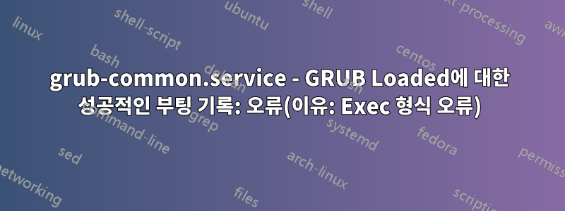 grub-common.service - GRUB Loaded에 대한 성공적인 부팅 기록: 오류(이유: Exec 형식 오류)