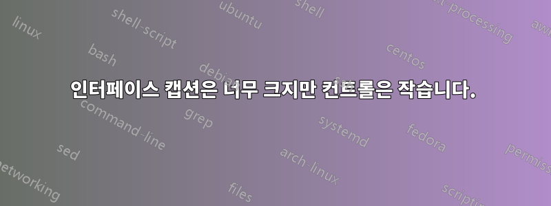 인터페이스 캡션은 너무 크지만 컨트롤은 작습니다.