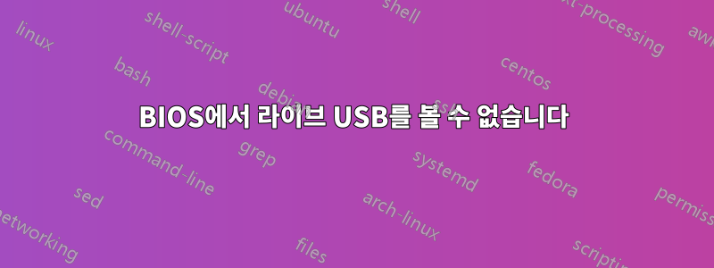 BIOS에서 라이브 USB를 볼 수 없습니다