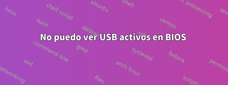 No puedo ver USB activos en BIOS