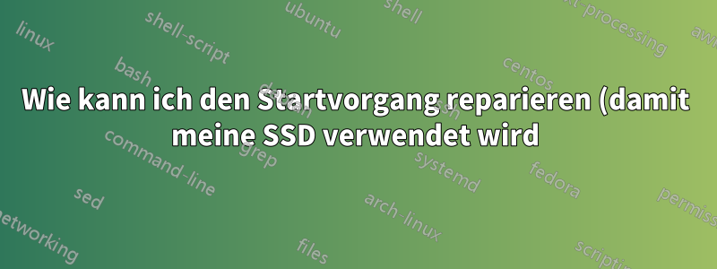 Wie kann ich den Startvorgang reparieren (damit meine SSD verwendet wird)?
