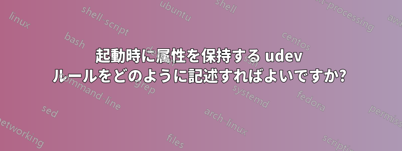 起動時に属性を保持する udev ルールをどのように記述すればよいですか?