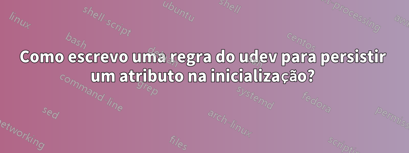 Como escrevo uma regra do udev para persistir um atributo na inicialização?