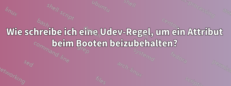 Wie schreibe ich eine Udev-Regel, um ein Attribut beim Booten beizubehalten?