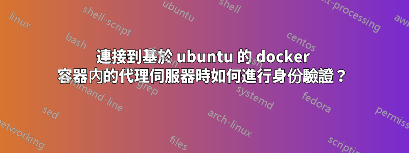 連接到基於 ubuntu 的 docker 容器內的代理伺服器時如何進行身份驗證？