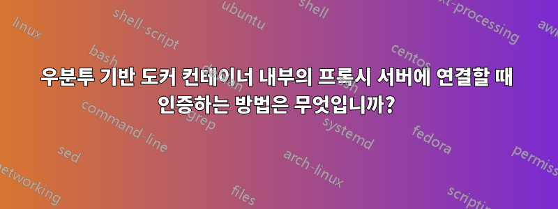 우분투 기반 도커 컨테이너 내부의 프록시 서버에 연결할 때 인증하는 방법은 무엇입니까?