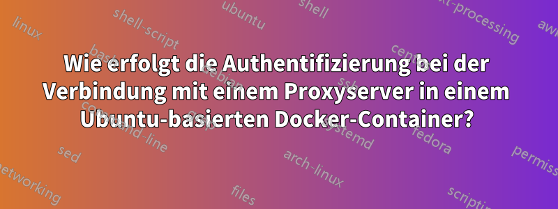 Wie erfolgt die Authentifizierung bei der Verbindung mit einem Proxyserver in einem Ubuntu-basierten Docker-Container?