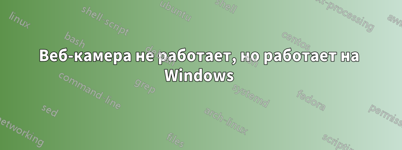 Веб-камера не работает, но работает на Windows