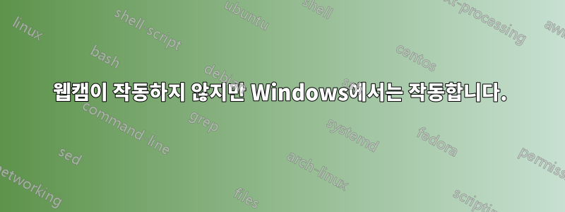 웹캠이 작동하지 않지만 Windows에서는 작동합니다.