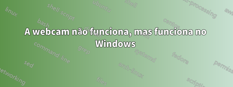 A webcam não funciona, mas funciona no Windows