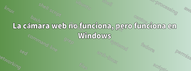 La cámara web no funciona, pero funciona en Windows