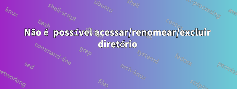 Não é possível acessar/renomear/excluir diretório