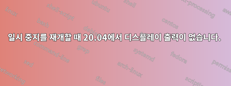 일시 중지를 재개할 때 20.04에서 디스플레이 출력이 없습니다.