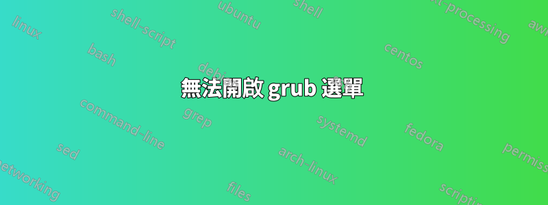 無法開啟 grub 選單