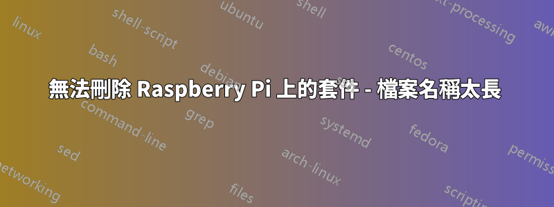 無法刪除 Raspberry Pi 上的套件 - 檔案名稱太長