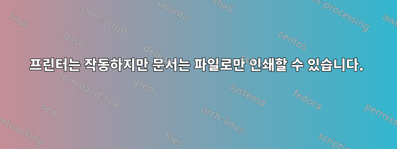 프린터는 작동하지만 문서는 파일로만 인쇄할 수 있습니다.