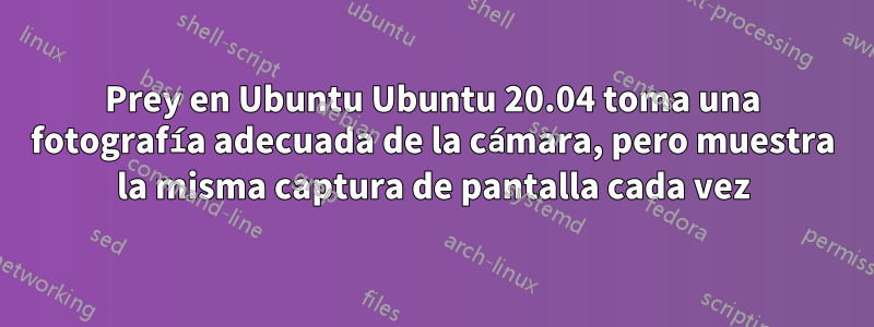 Prey en Ubuntu Ubuntu 20.04 toma una fotografía adecuada de la cámara, pero muestra la misma captura de pantalla cada vez