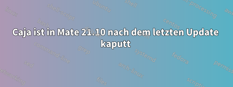 Caja ist in Mate 21.10 nach dem letzten Update kaputt