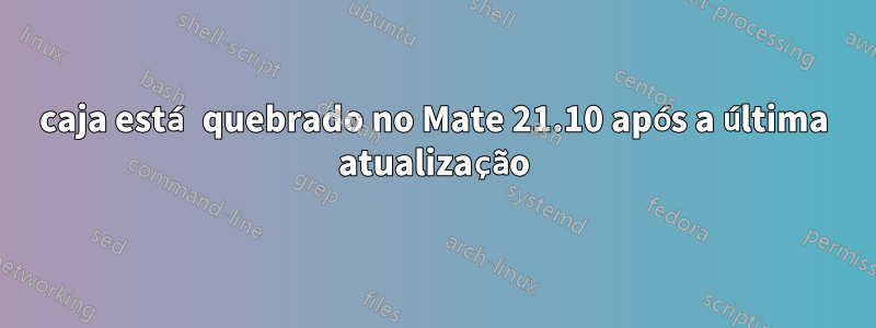 caja está quebrado no Mate 21.10 após a última atualização