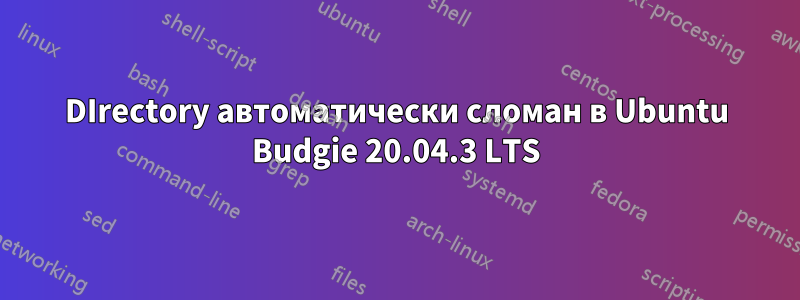 DIrectory автоматически сломан в Ubuntu Budgie 20.04.3 LTS