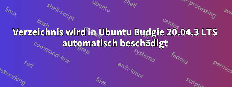 Verzeichnis wird in Ubuntu Budgie 20.04.3 LTS automatisch beschädigt