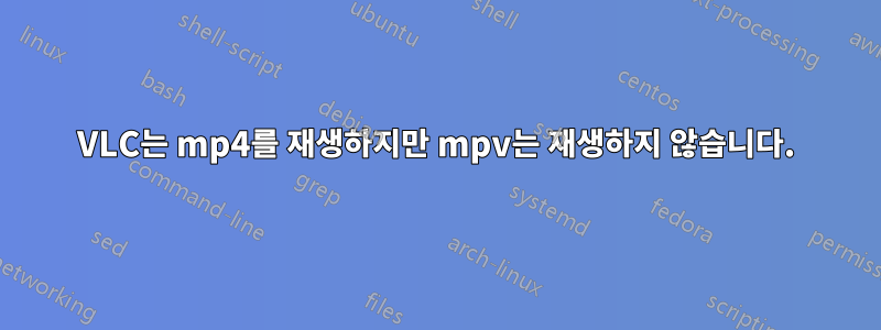 VLC는 mp4를 재생하지만 mpv는 재생하지 않습니다.