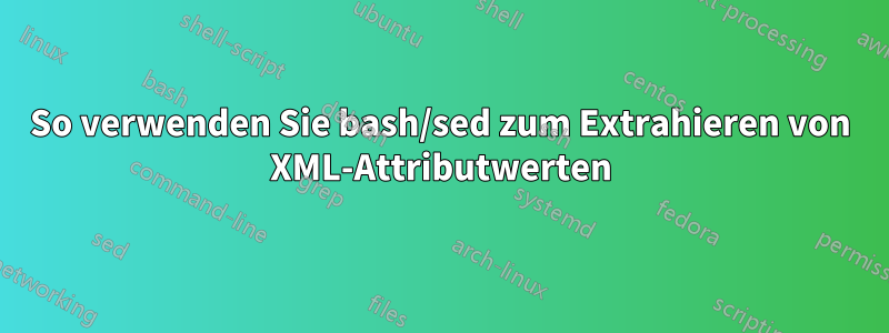 So verwenden Sie bash/sed zum Extrahieren von XML-Attributwerten