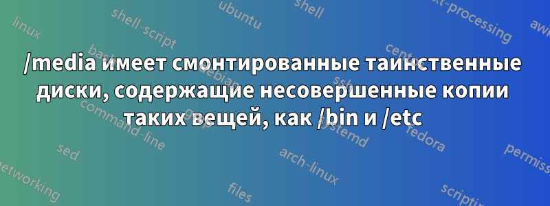 /media имеет смонтированные таинственные диски, содержащие несовершенные копии таких вещей, как /bin и /etc