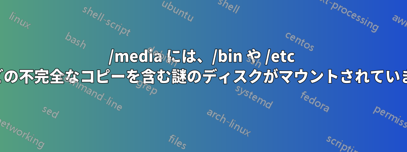 /media には、/bin や /etc などの不完全なコピーを含む謎のディスクがマウントされています