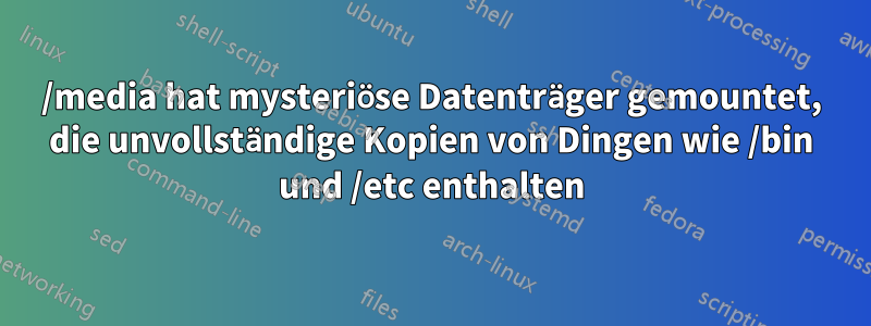 /media hat mysteriöse Datenträger gemountet, die unvollständige Kopien von Dingen wie /bin und /etc enthalten