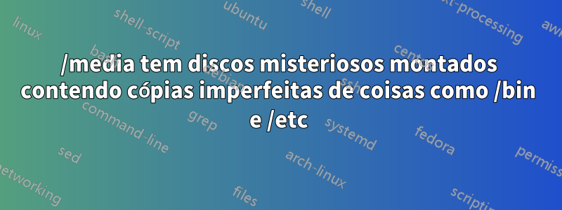 /media tem discos misteriosos montados contendo cópias imperfeitas de coisas como /bin e /etc