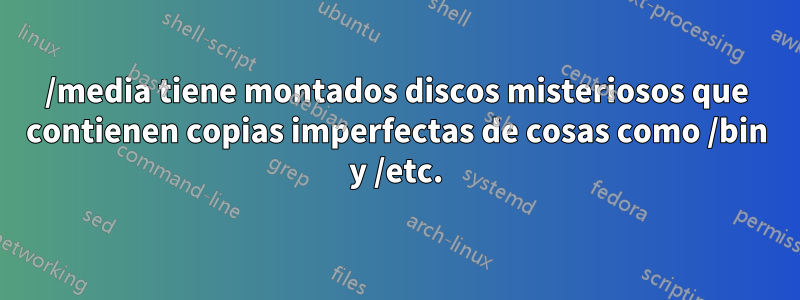 /media tiene montados discos misteriosos que contienen copias imperfectas de cosas como /bin y /etc.