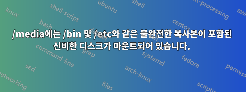 /media에는 ​​/bin 및 /etc와 같은 불완전한 복사본이 포함된 신비한 디스크가 마운트되어 있습니다.