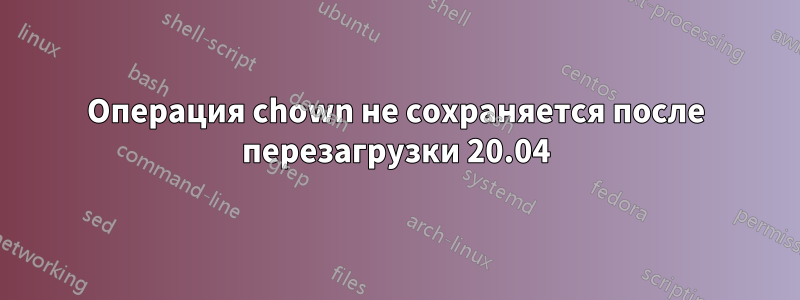 Операция chown не сохраняется после перезагрузки 20.04