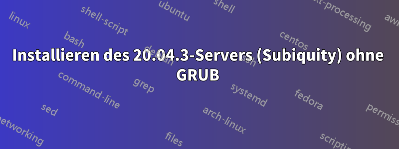 Installieren des 20.04.3-Servers (Subiquity) ohne GRUB