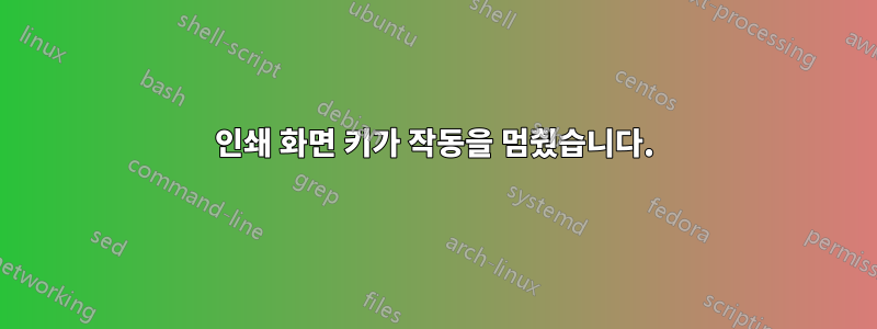 인쇄 화면 키가 작동을 멈췄습니다.