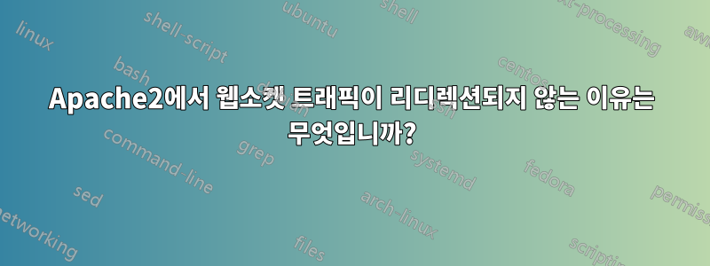 Apache2에서 웹소켓 트래픽이 리디렉션되지 않는 이유는 무엇입니까?