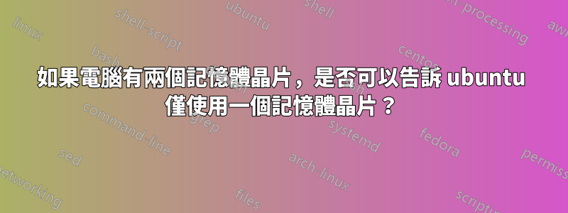 如果電腦有兩個記憶體晶片，是否可以告訴 ubuntu 僅使用一個記憶體晶片？