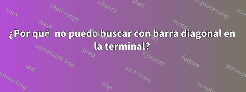 ¿Por qué no puedo buscar con barra diagonal en la terminal?